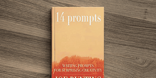 14 Prompts