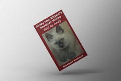 Andy the Kitten's Forever Home