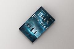 Dark Junction