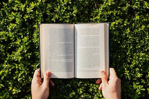 Hands hold a book open in front of a shrub.