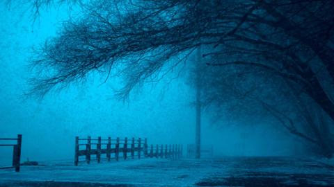 A blue-tinged photo of an eerie, empty parking area lined with trees.