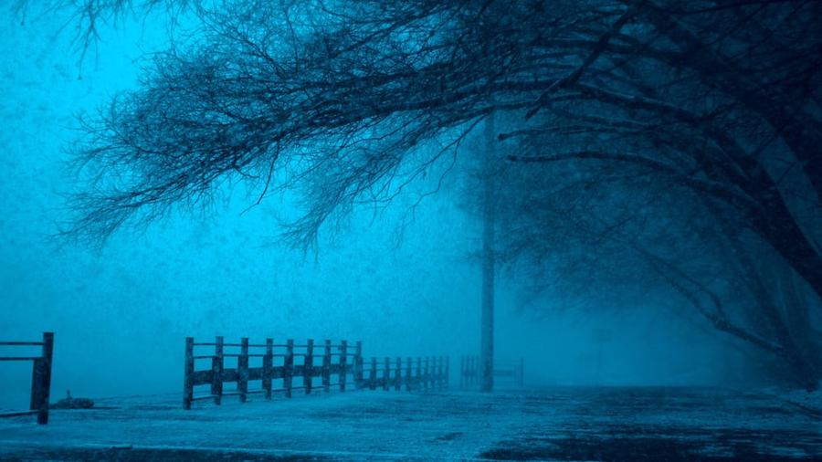 A blue-tinged photo of an eerie, empty parking area lined with trees.
