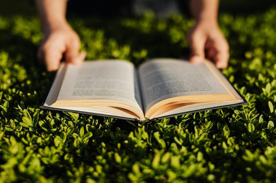 Hands hold a story book open over a grassy surface.