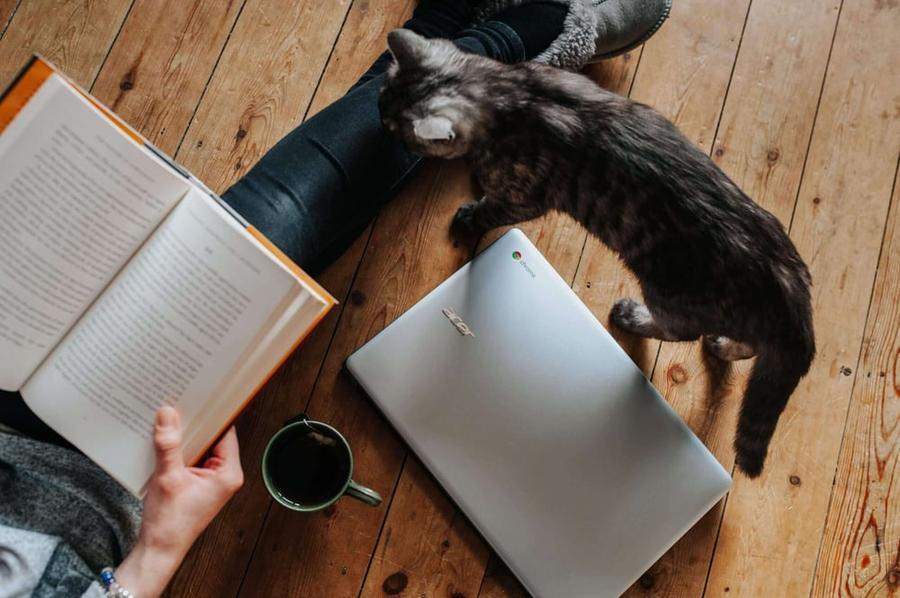 How to plot your novel using Save the Cat!