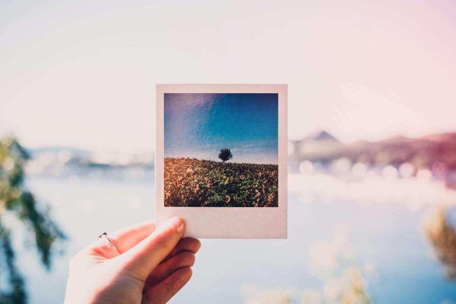The Picture Day Update (Part One) - Dabble v2.3 Release