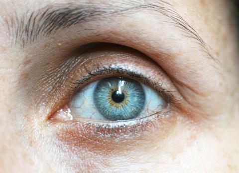 Close-up of one blue human eye.