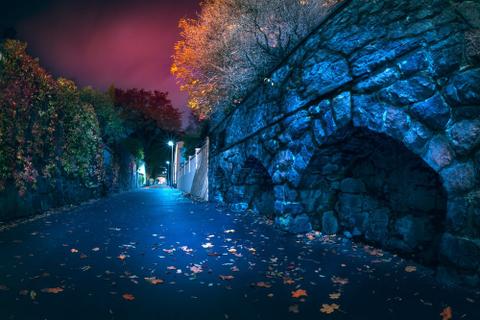 A cobblestone bridge next to a road, the entire scene washed in blue light.