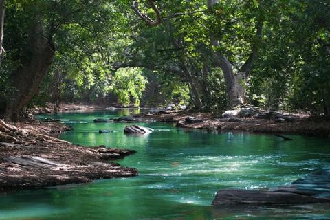A turquoise river running between trees
