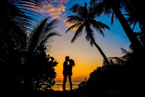 Silhouette of lovers embracing between palm trees on a beach at sunset.