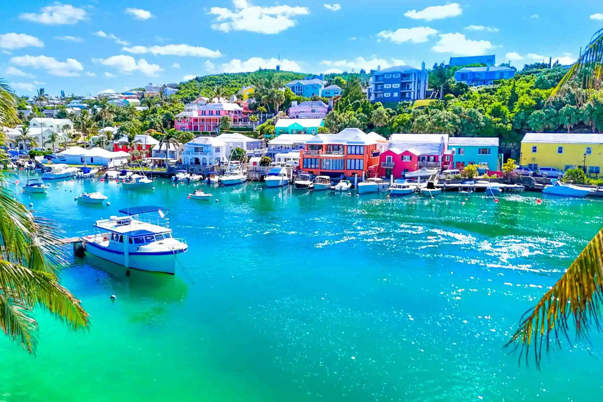 Bermuda Arrival Card 2026: Complete Guide for Visitors