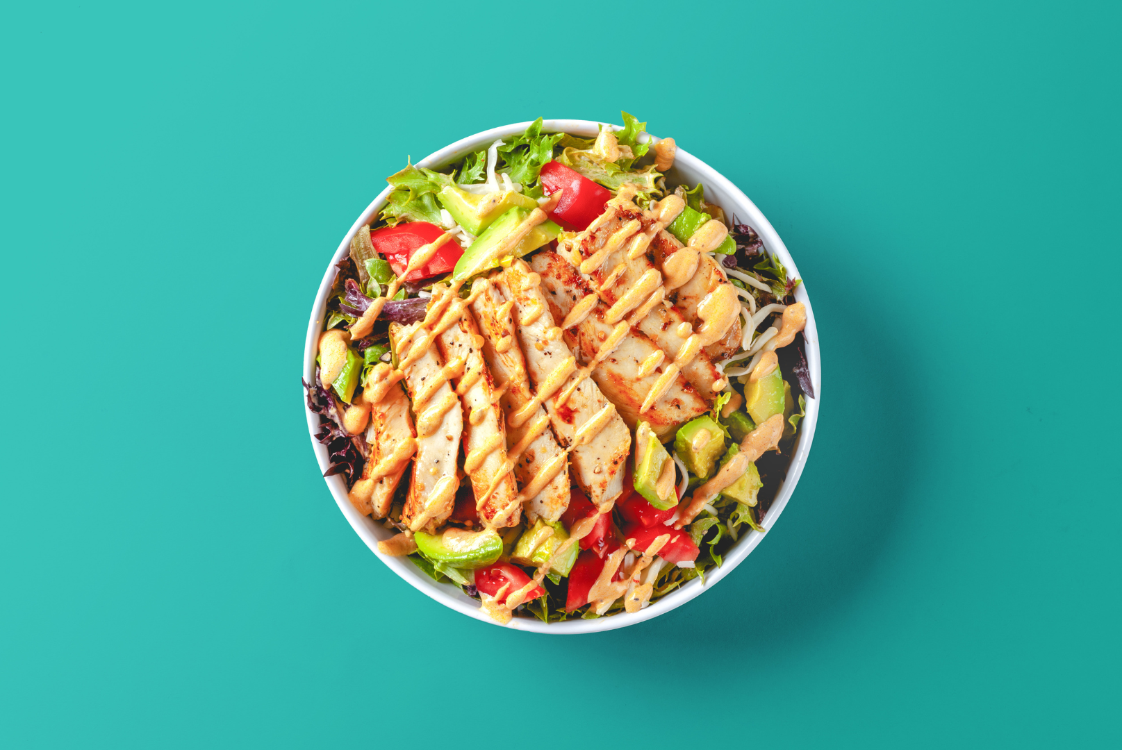 Grilled chicken plate