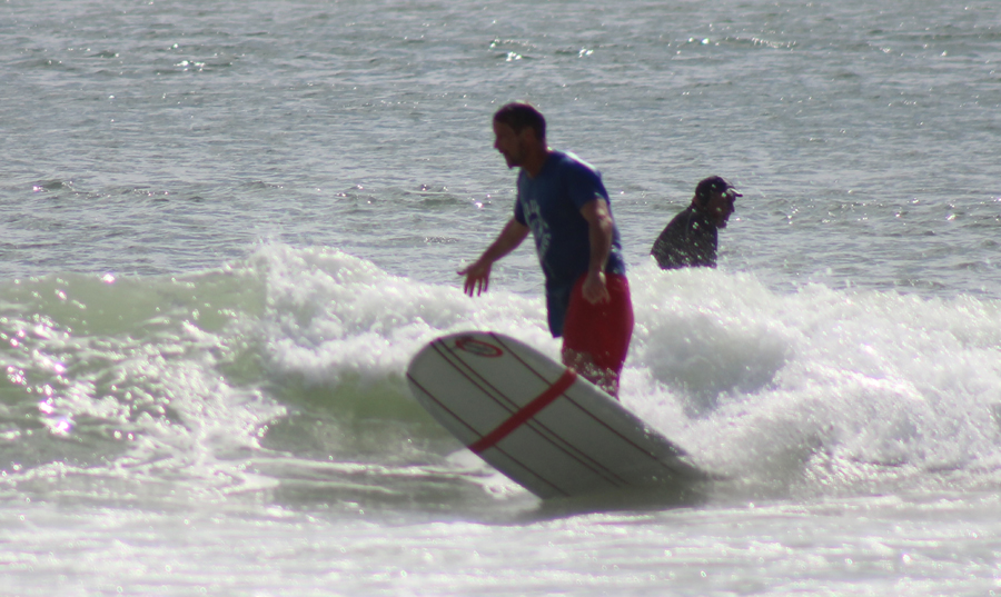 Noosa Longboards Tom Wegener Foam Boards