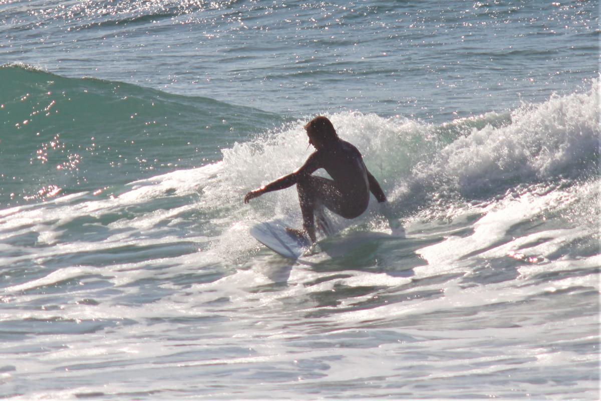 Finless Corkys