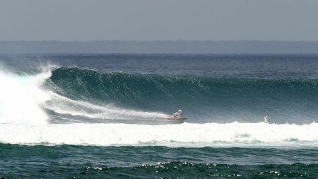 Surfie Bellyboards