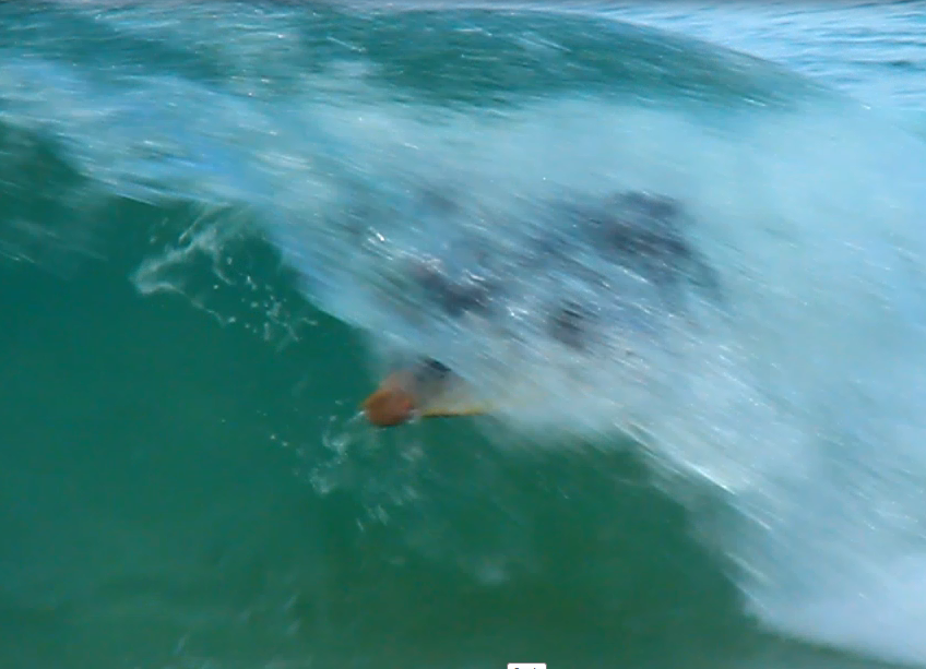 Surfie Odyssey Photos