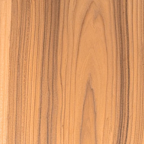 Échantillon de bois de robinier