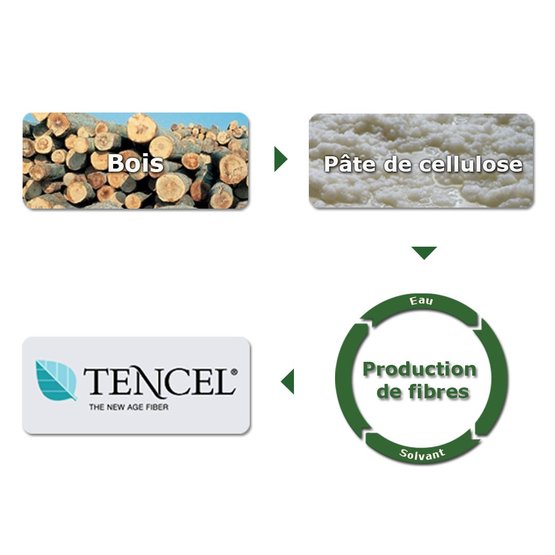 Processus de fabrication du Tencel