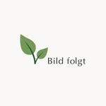 Naturlatexmatratzen von allnatura
