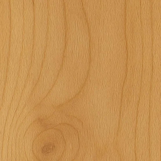 Échantillon de bois Bois d'aulne