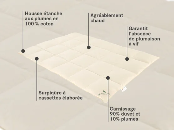 Couette en duvet Ansara - couette d'hiver douillette, chaude et légère, avec des propriétés isolantes optimales