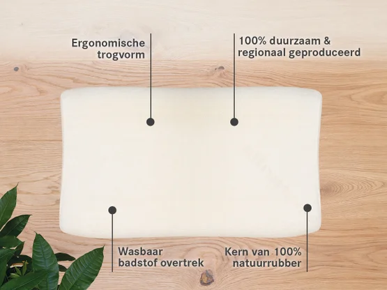 Bijzonderheden van het neksteunkussen Sana-Vario 2
