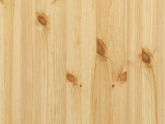 Échantillon de bois de pin naturel