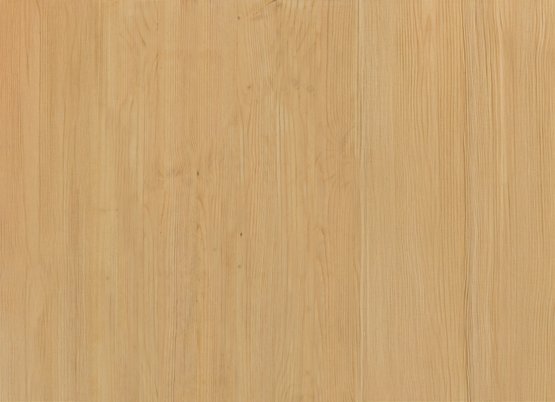 Échantillon de bois en hêtre