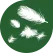 Daunasan® & Downafresh® greenLine