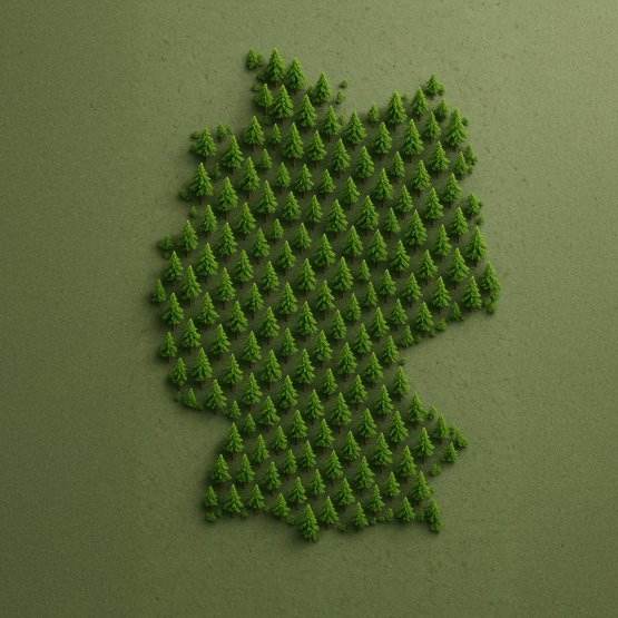 allnatura neemt sociale verantwoordelijkheid