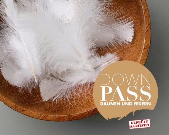 PLATZHALTER Downpass Siegel (wenn erlaubt auf Moodbild)