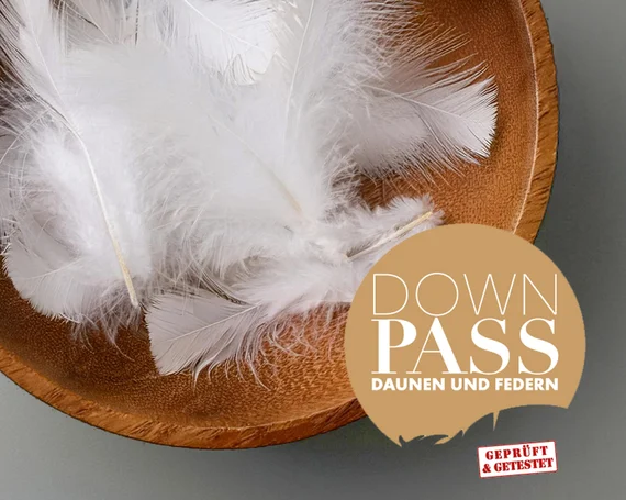 Label Downpass (wenn erlaubt auf Moodbild)