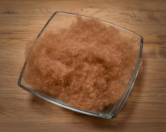 Kamelhaarfasern