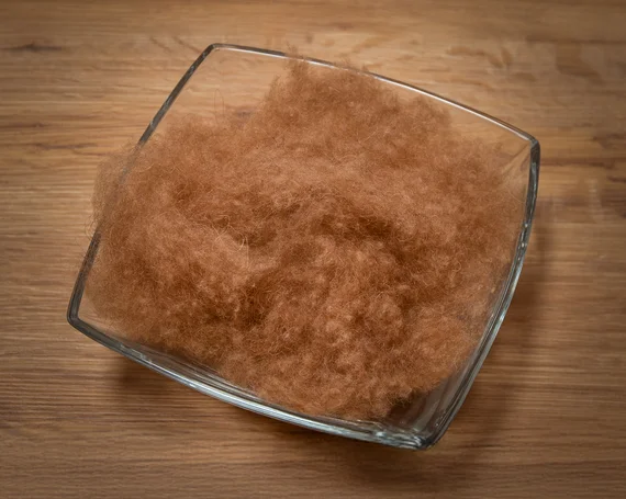Vezels van kamelenhaar
