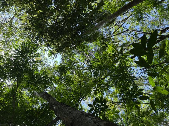 Bosteelt is goed voor de biodiversiteit