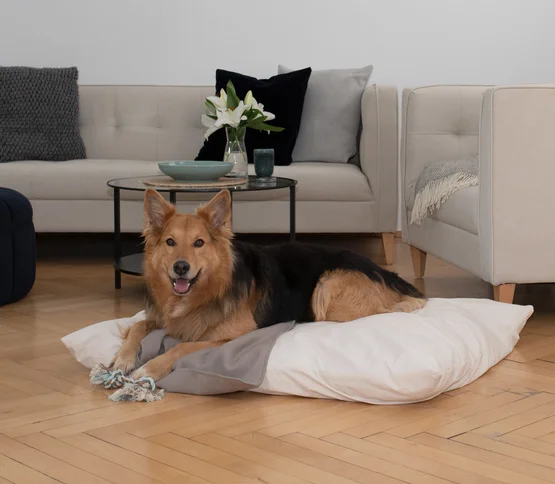 Kuscheln für Vierbeiner - Hunde-Kuschelkissen Suave