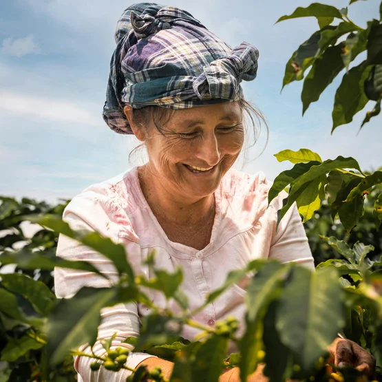 Moreganic is goed voor de ecologische voetafdruk