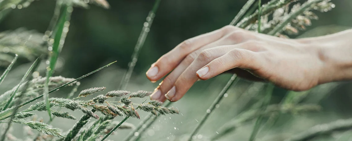 Duurzaamheid bij allnatura