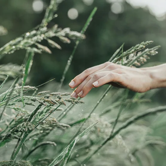 allnatura est une entreprise climatiquement neutre