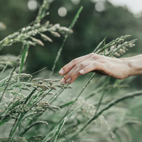 allnatura ist ein klimaneutrales Unternehmen
