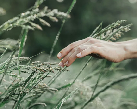 Al meer dan 40 jaar natuurlijke slaap - allnatura