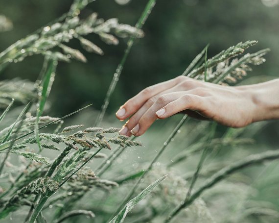 Un sommeil naturel depuis plus de 40 ans - allnatura