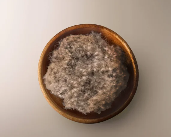 Garnissage en duvet d'eider