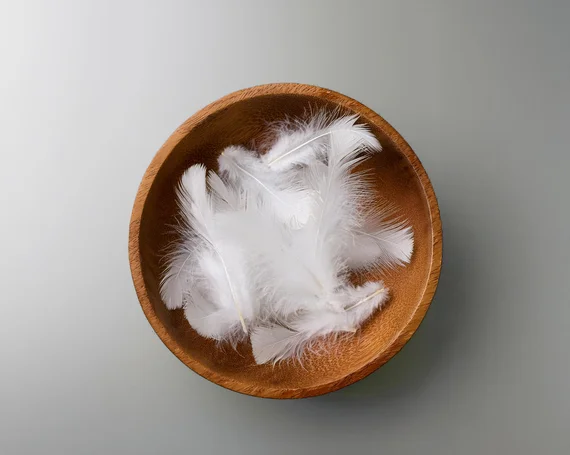 PLATZHALTER Downpass Siegel (wenn erlaubt auf Moodbild)