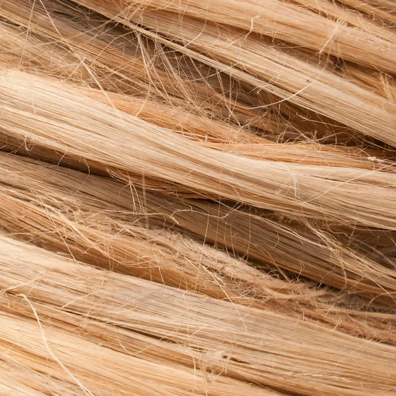 Fibres de sisal