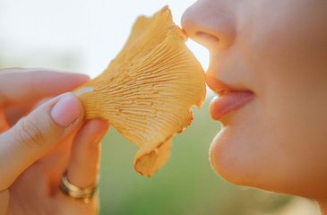 Naturprodukte und Gerüche
