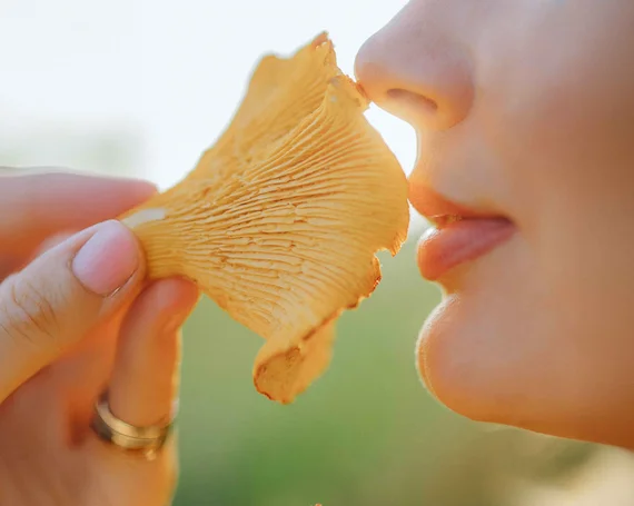 Naturprodukte und Gerüche