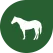 Duurzaam gewonnen paardenhaar