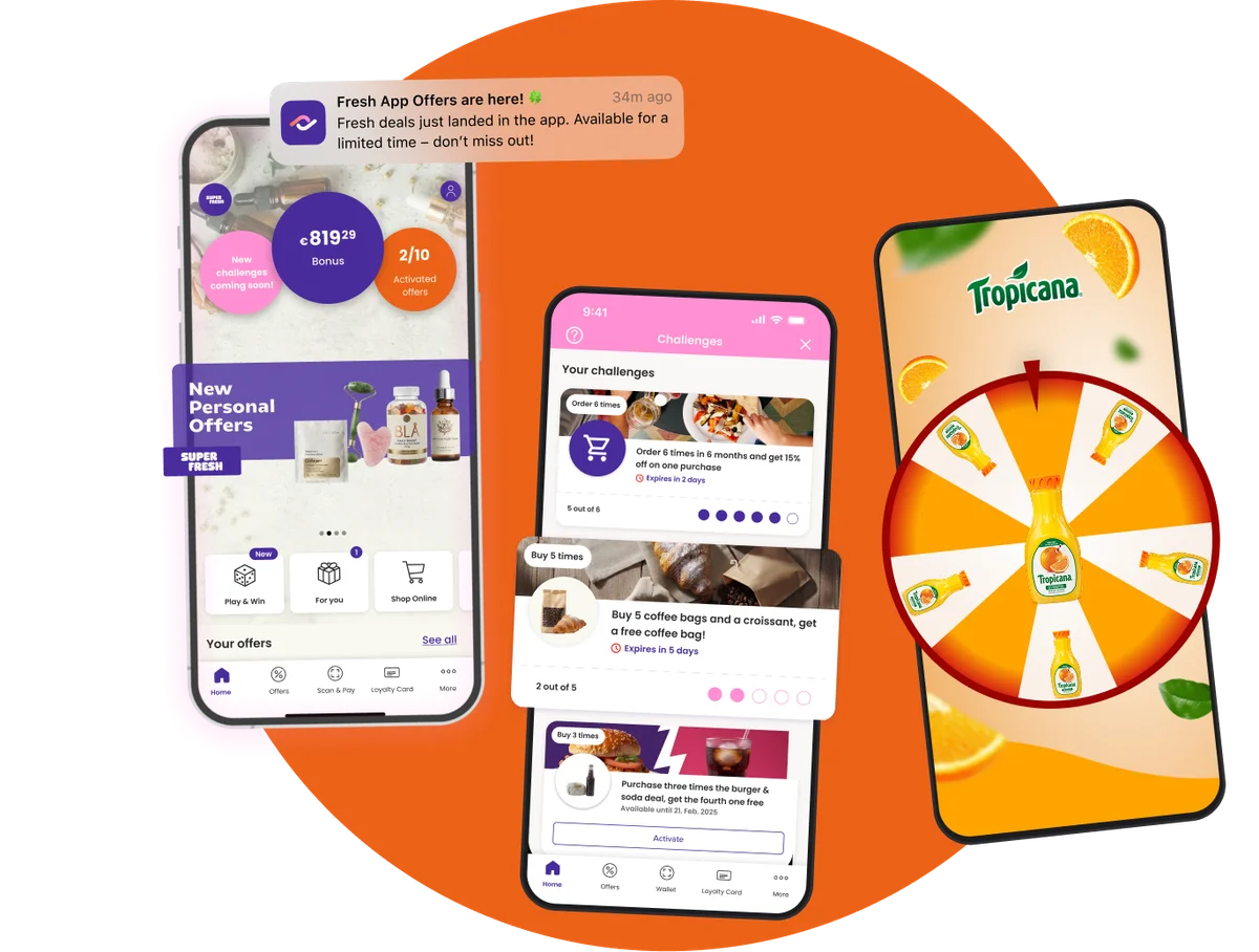 Branded App Experience illustration