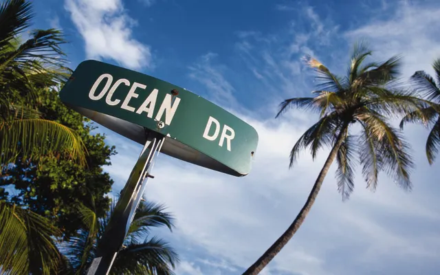 The Ocean Drive street sign beneath the palms.
