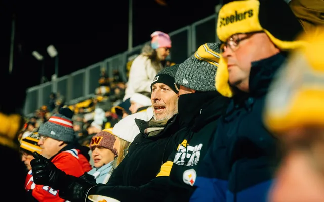 Fans in the stands, mid-game.